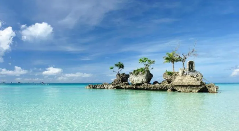 Aloe de Diniwid