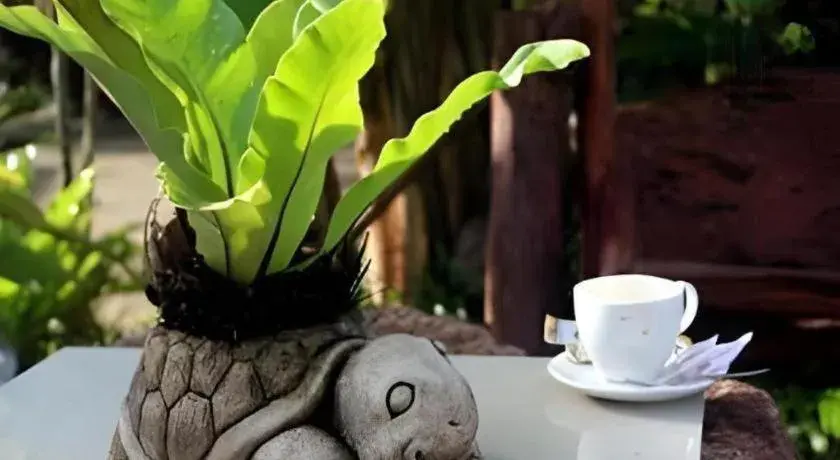 Tanisa Resort Tanisa Resort