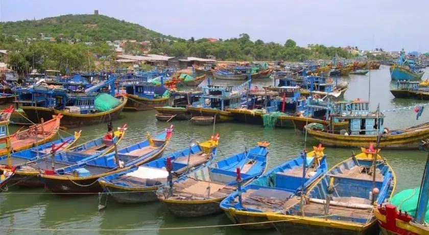 Damina boutique hotel Damina boutique hotel