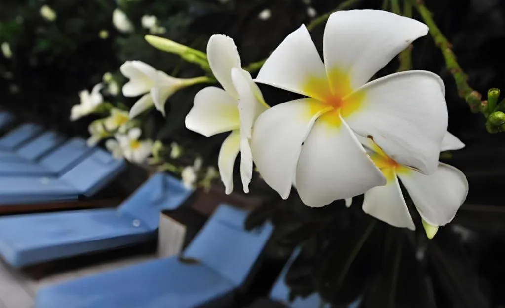 Ramada by Wyndham Phuket Southsea