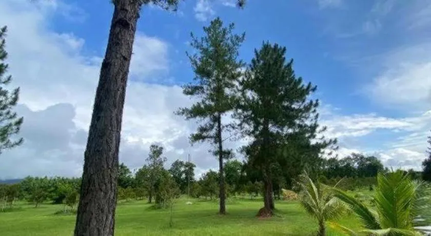 Chiangkham Luang Resort