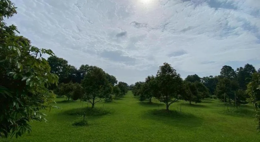 Chiangkham Luang Resort