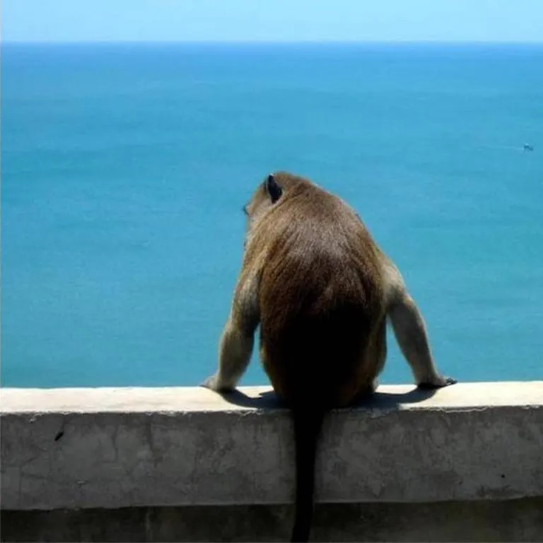 Seascape Resort Baan Krood