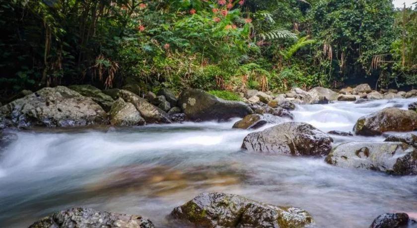 Jimmers Mountain Resort