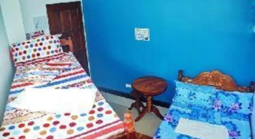 Bed in Mayon Backpackers Hostel