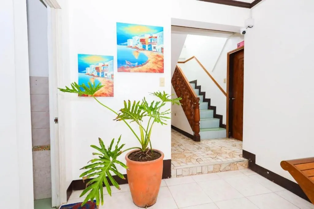 Mayon Backpackers Hostel