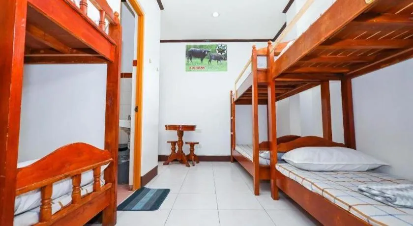 Bed in Mayon Backpackers Hostel