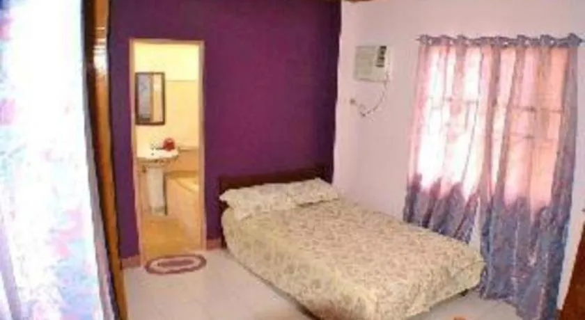 Bed in Mayon Backpackers Hostel