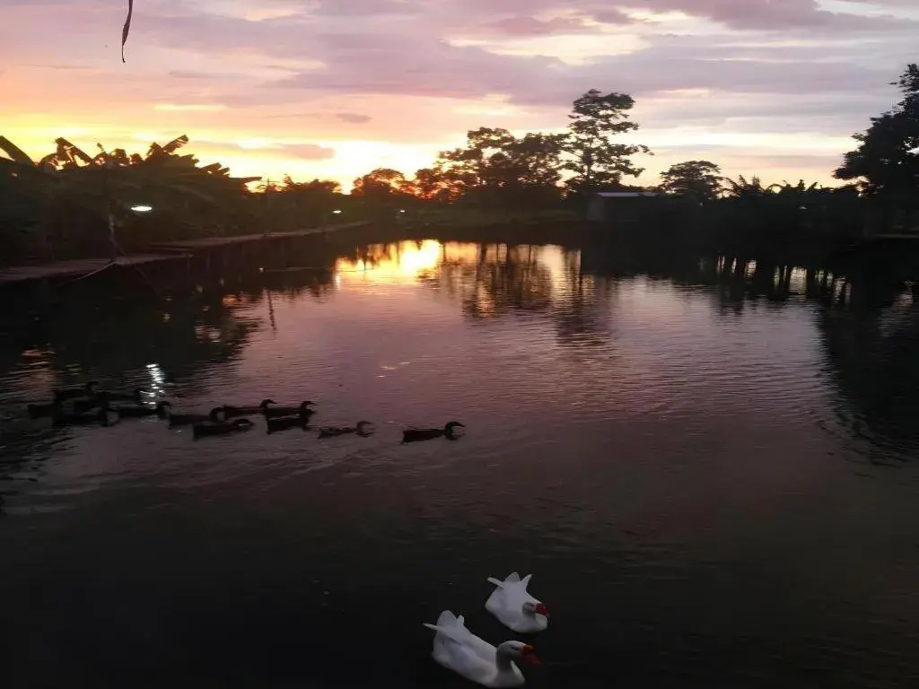 Banter Resort Banter Resort