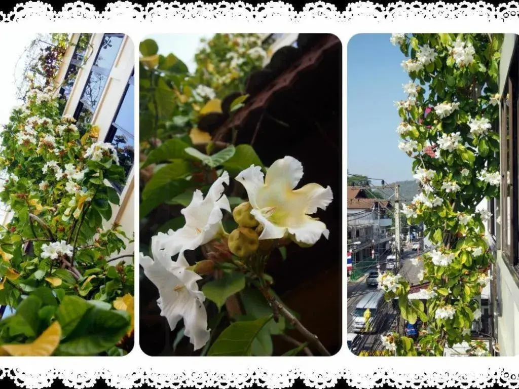 Panorama Hotel Panorama Hotel