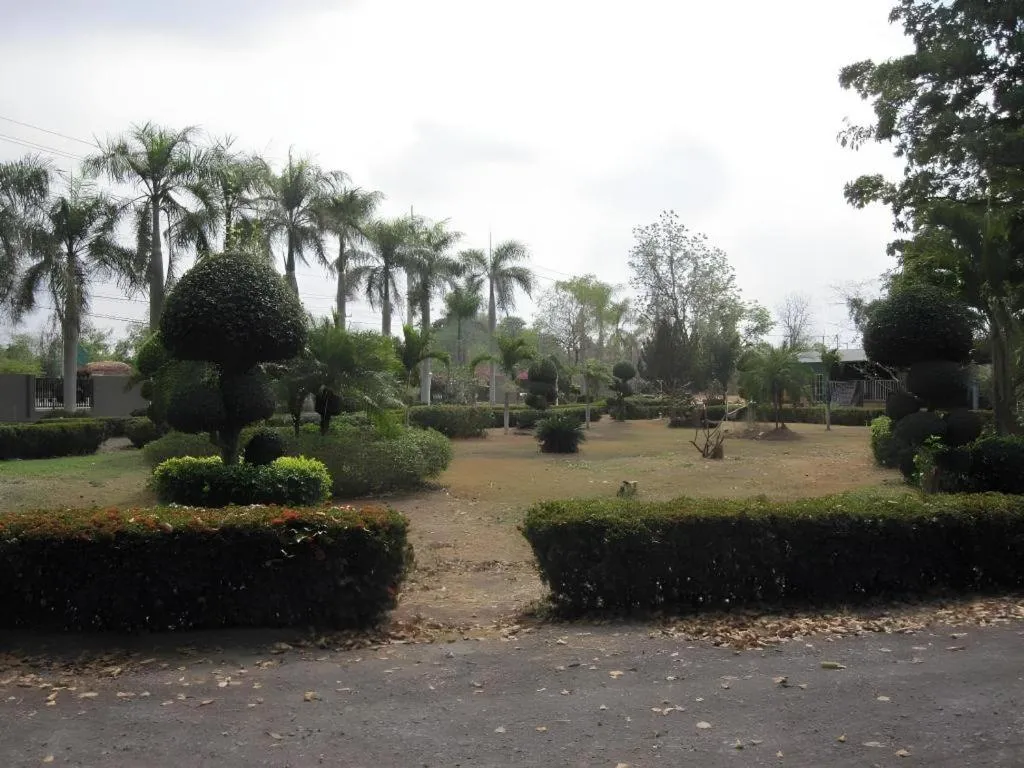 The Palm Village