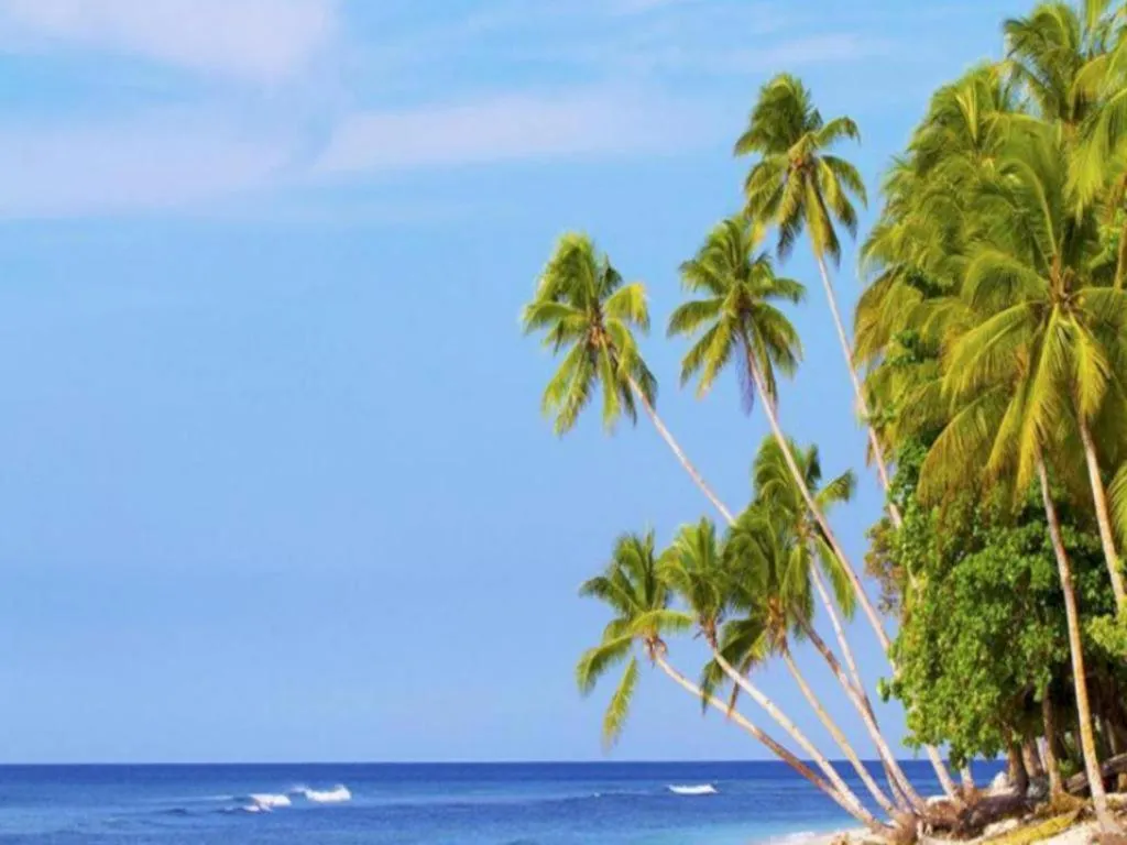 Asana Biak Papua Hotel