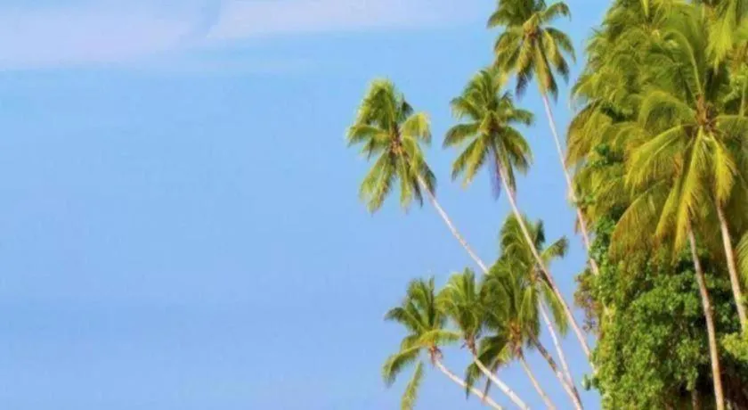 Asana Biak Papua Hotel