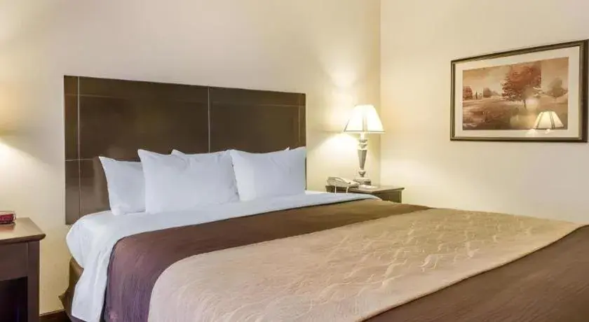 Bed in Comfort Inn & Suites Atoka Bed in Comfort Inn & Suites Atoka