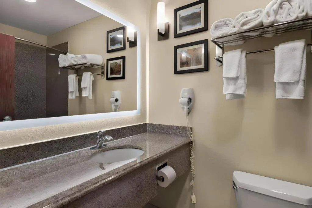 Comfort Inn & Suites Atoka