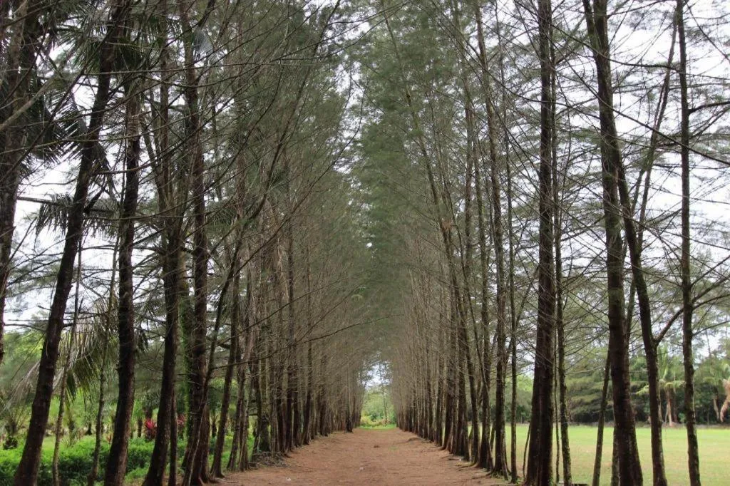 Narita Classic Hotel