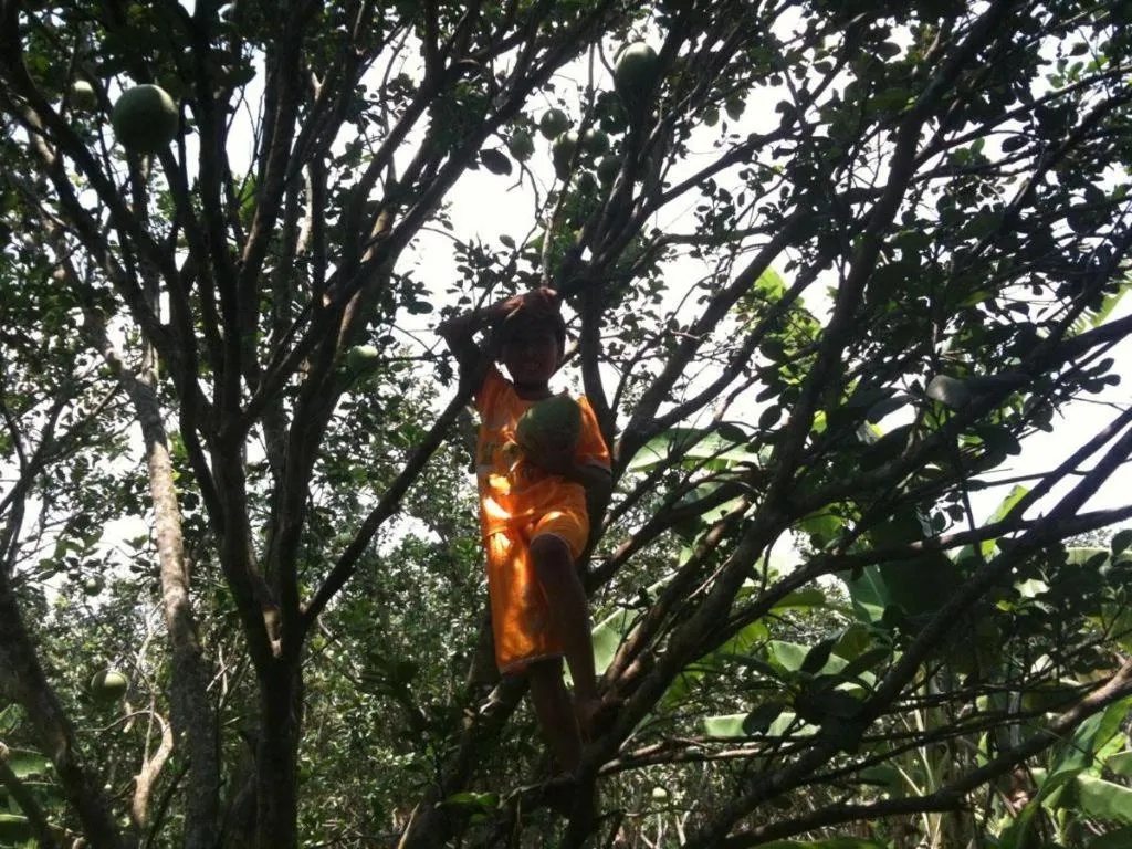 My Hoa Mekong Homestay