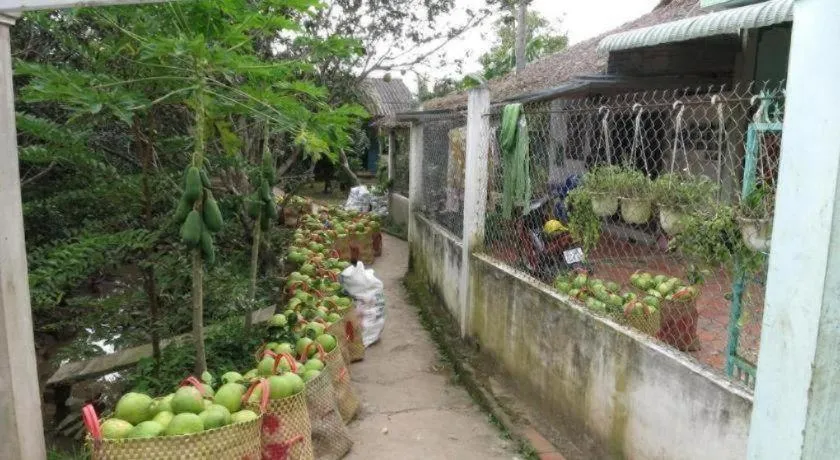 My Hoa Mekong Homestay