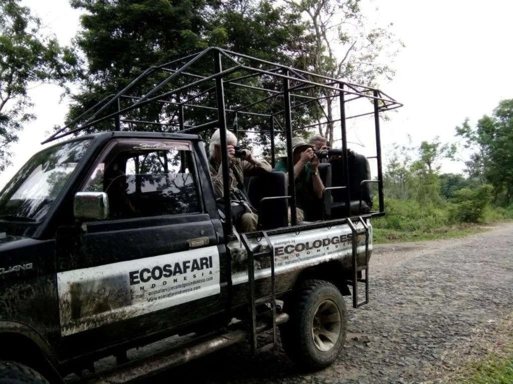 Satwa Elephant Eco Lodge