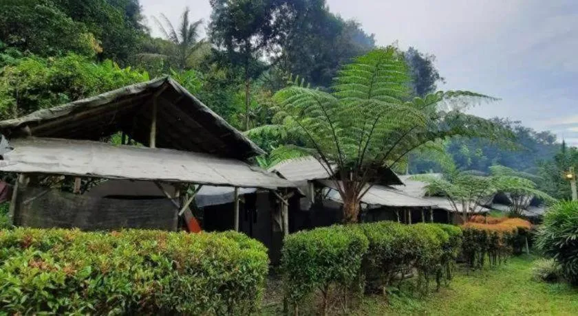 Herman Lantang Camp