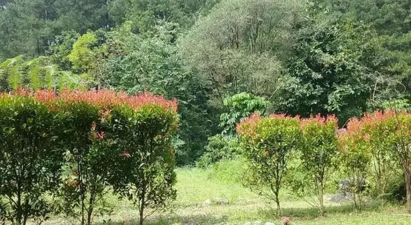 Herman Lantang Camp Herman Lantang Camp