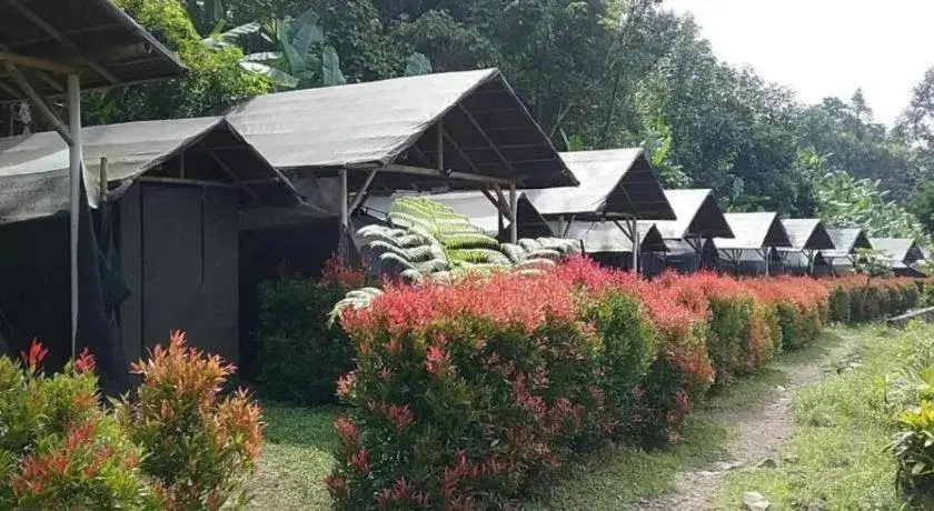 Herman Lantang Camp Herman Lantang Camp