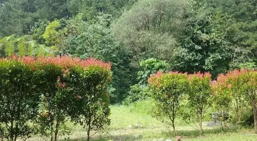 Herman Lantang Camp Herman Lantang Camp