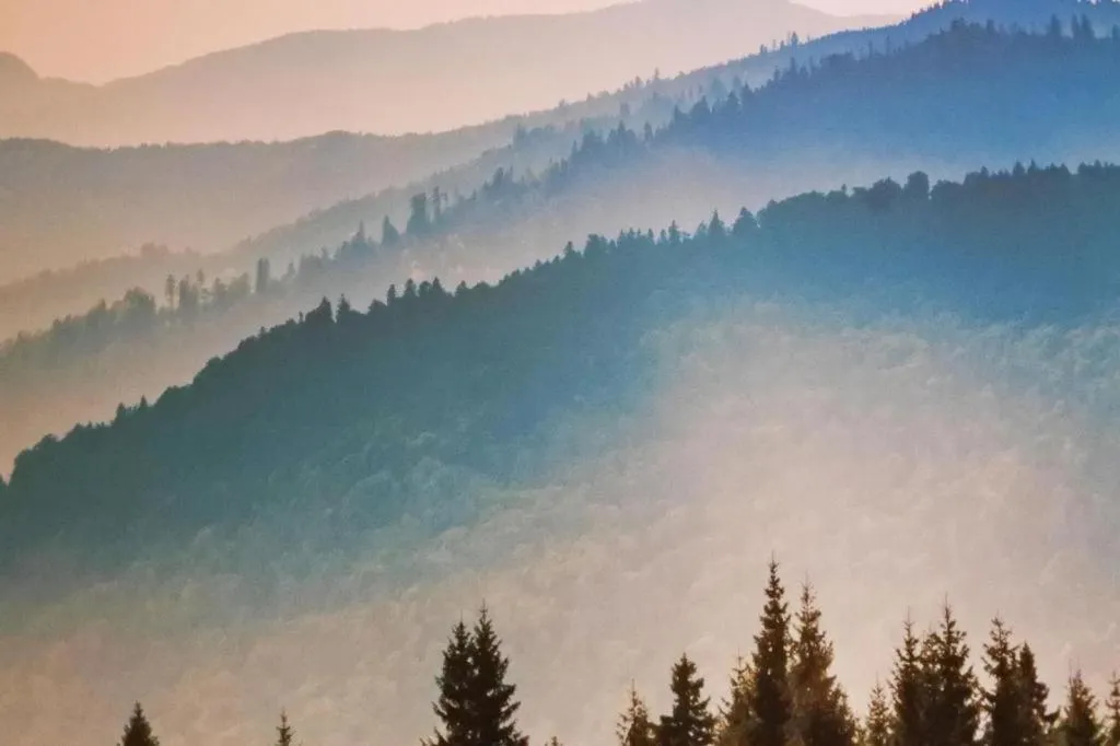 Sofyan Hotel Soepomo