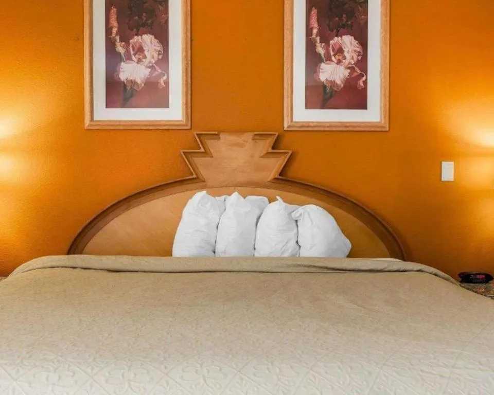 Bed in Quality Inn & Suites Shelbyville I-74