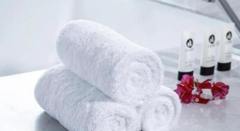 Chongqing The Lotus Hotel