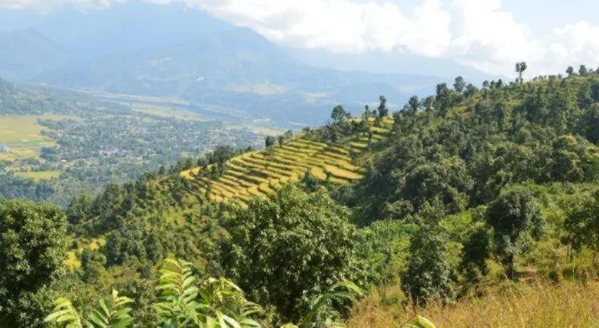 Mystique Highland Resort