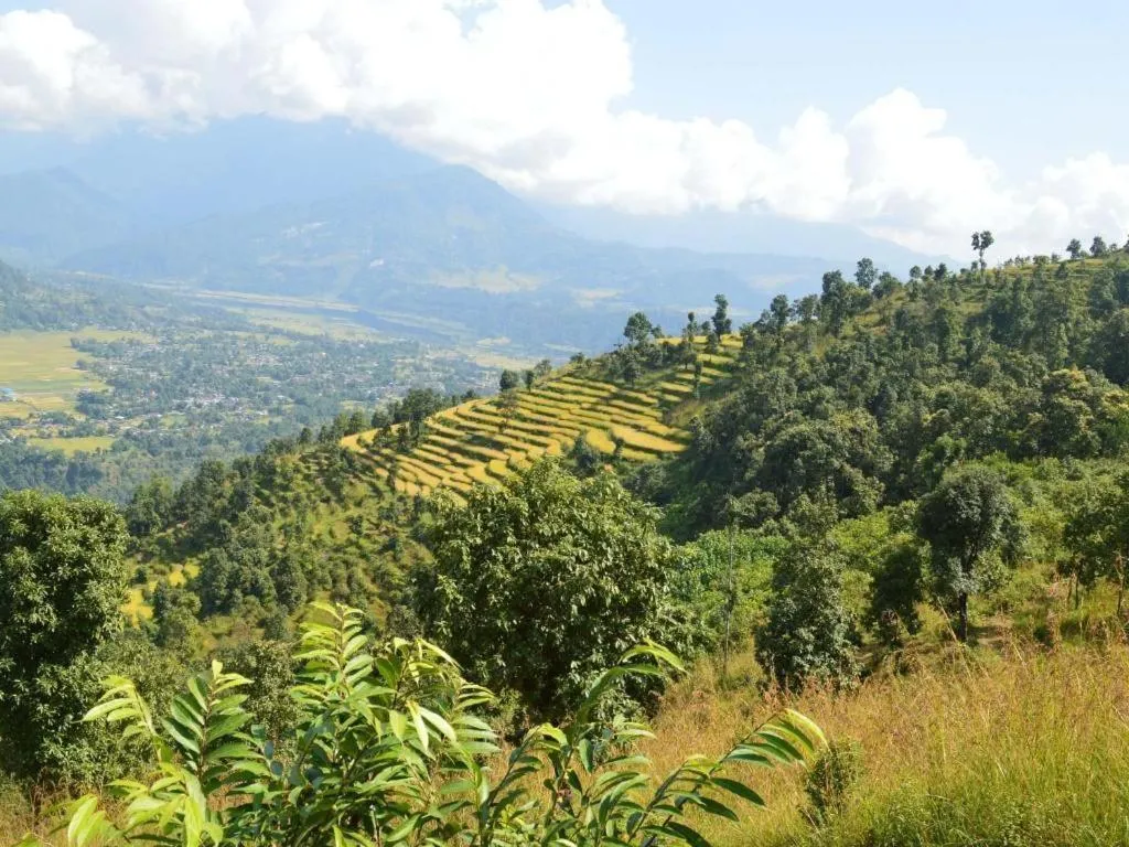 Mystique Highland Resort