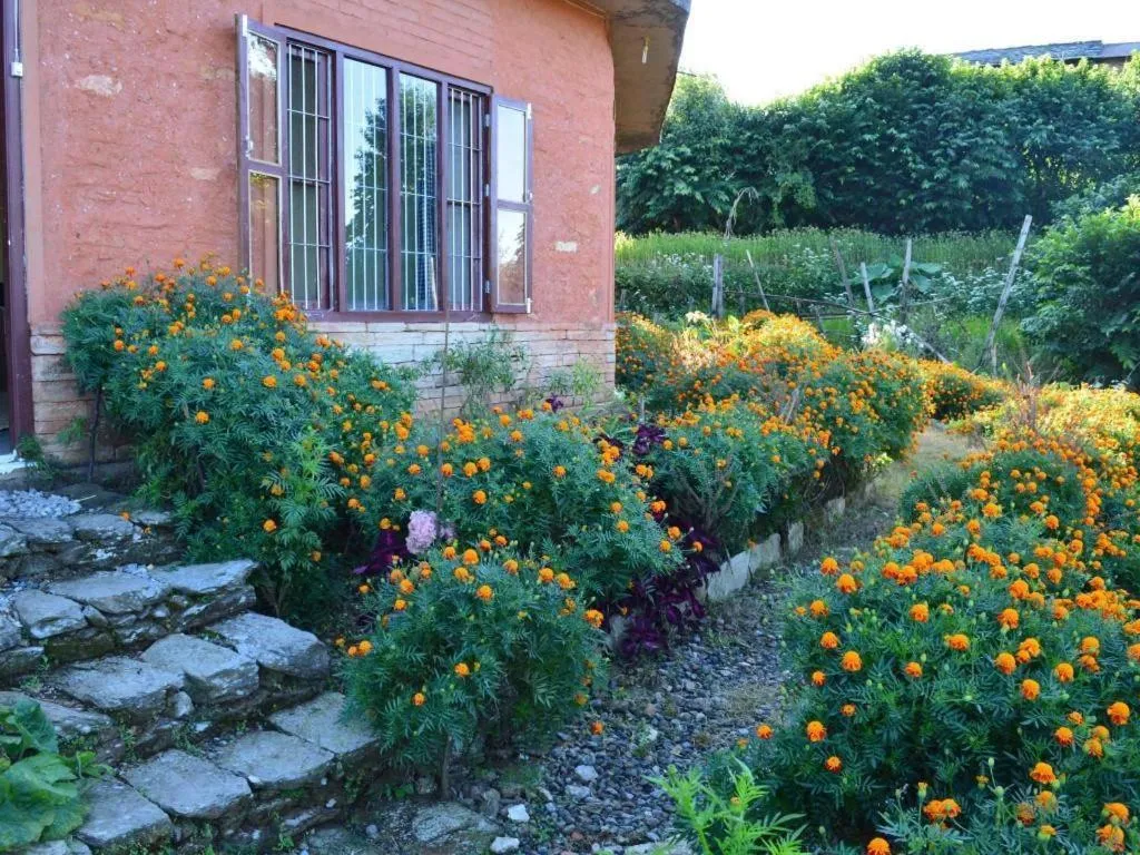 Mystique Highland Resort