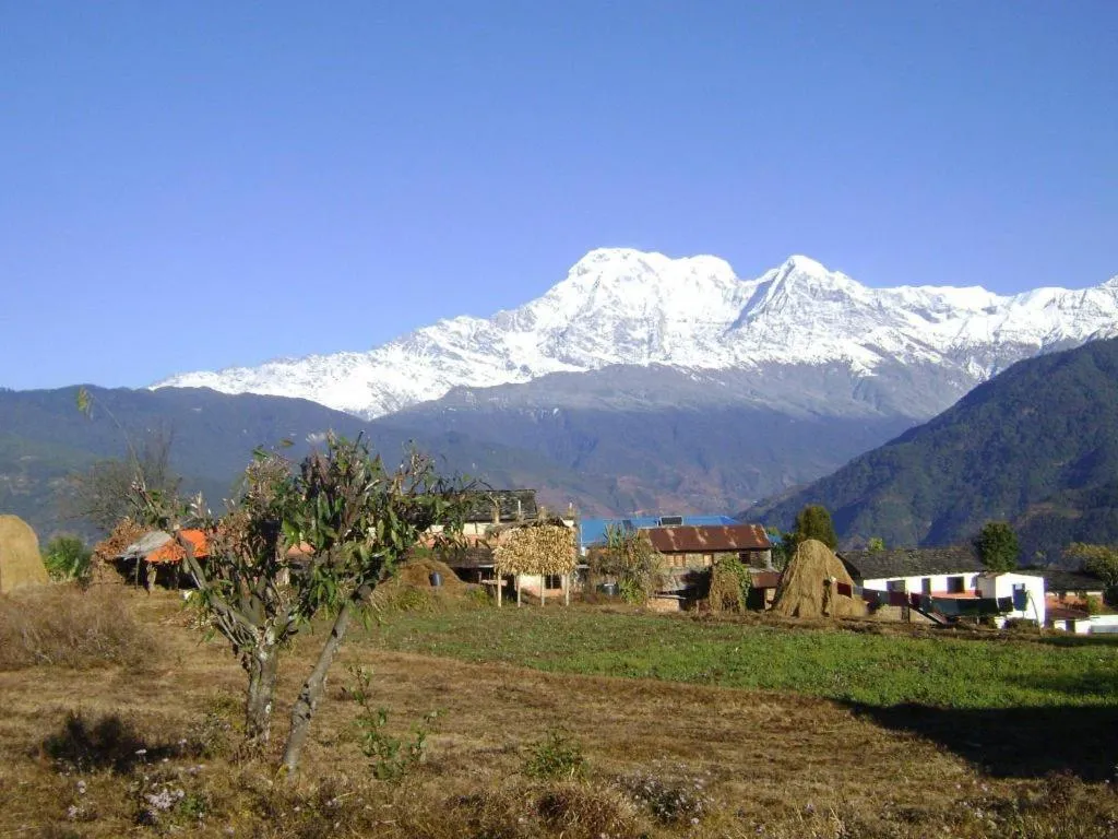 Mystique Highland Resort