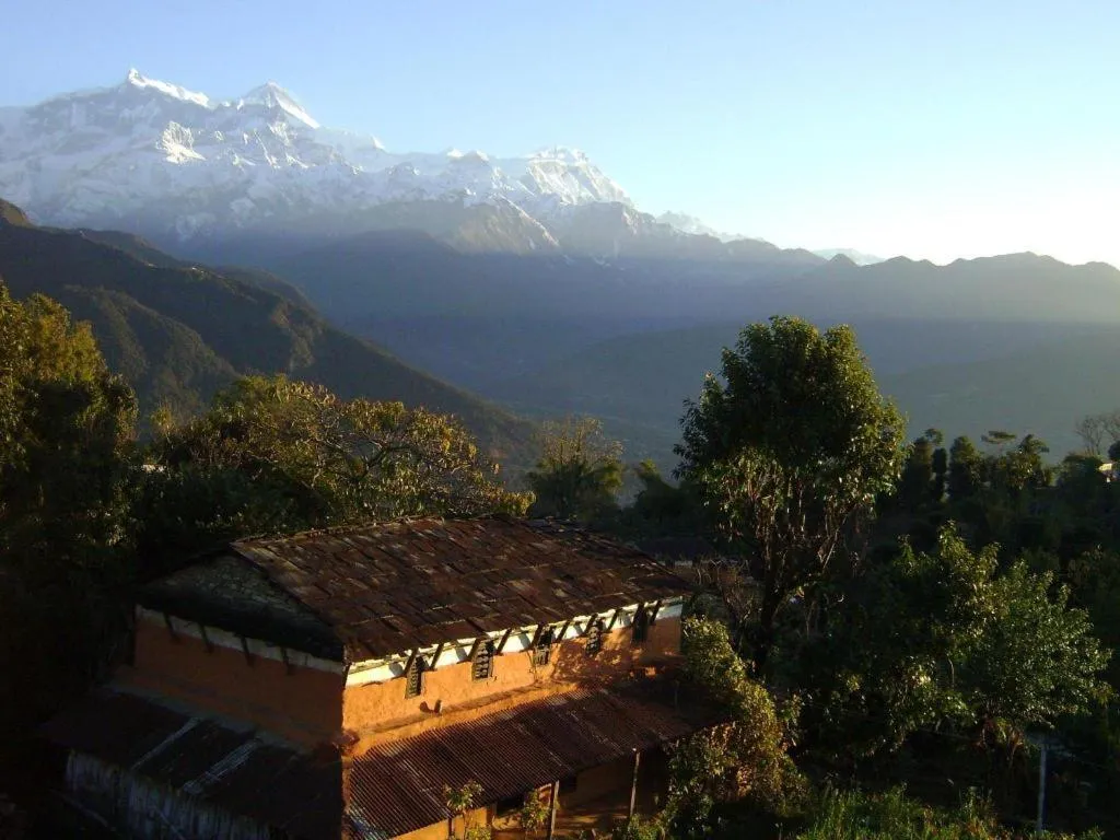 Mystique Highland Resort