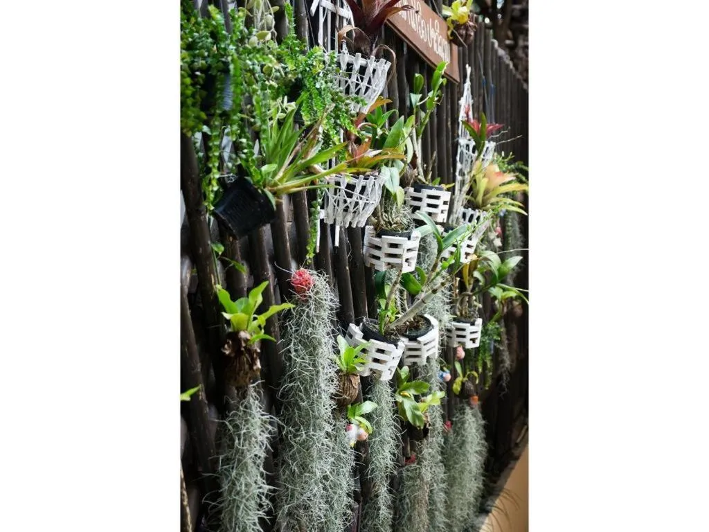 The View Pavilion Hotel