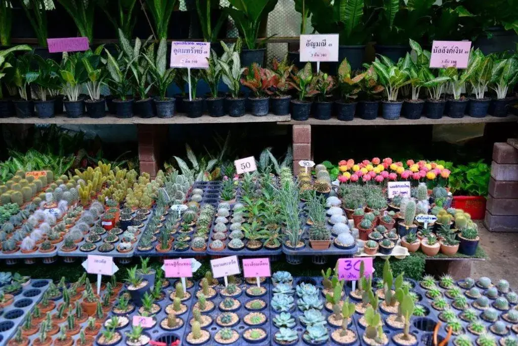 THE ALL 24 Luxury Residence THE ALL 24 Luxury Residence