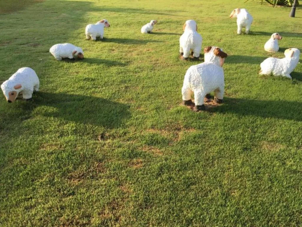 The Lofts Eco Resort