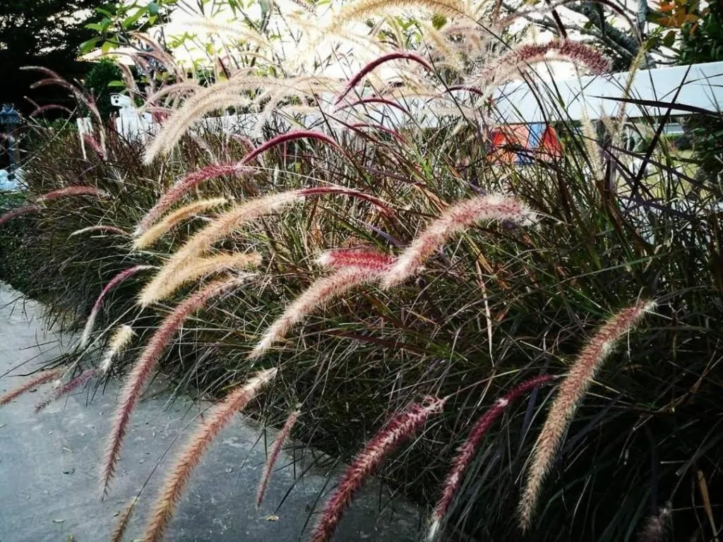 The Lofts Eco Resort