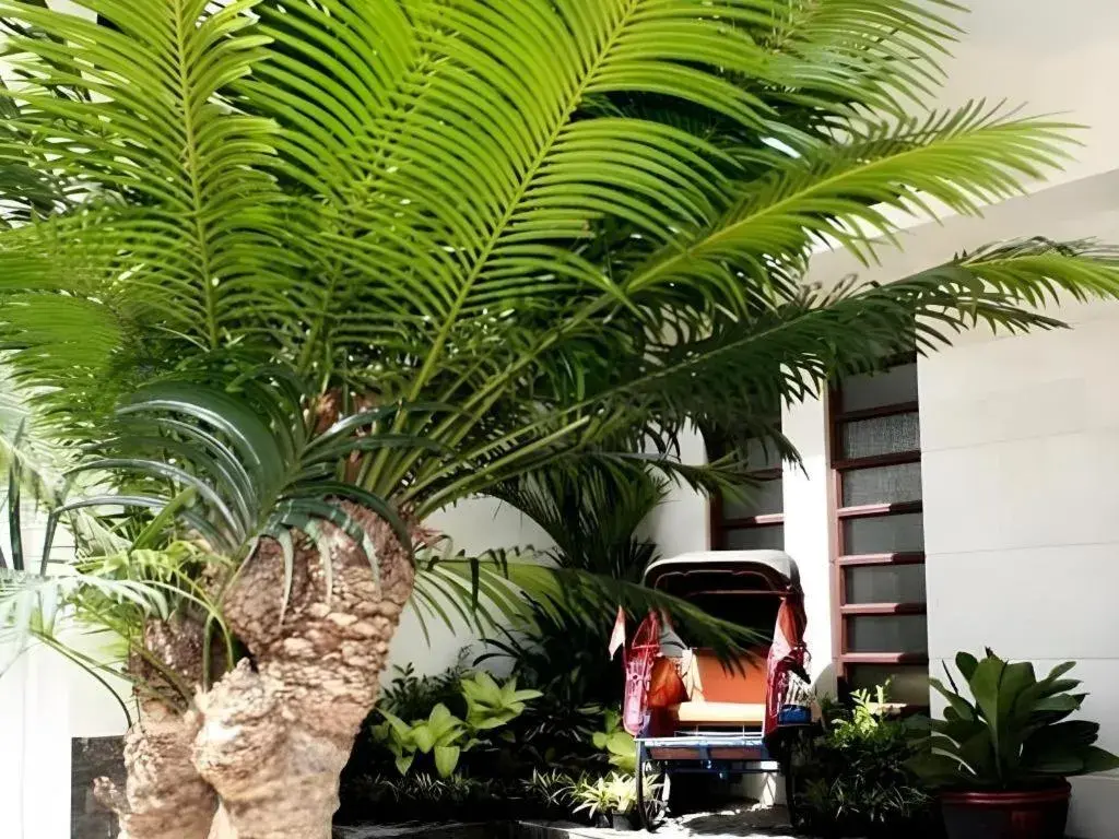 Colonial Hotel Makassar Colonial Hotel Makassar