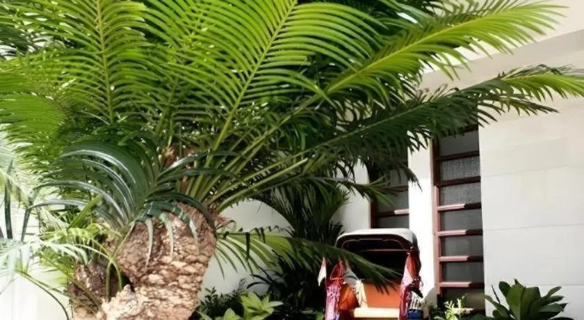 Colonial Hotel Makassar