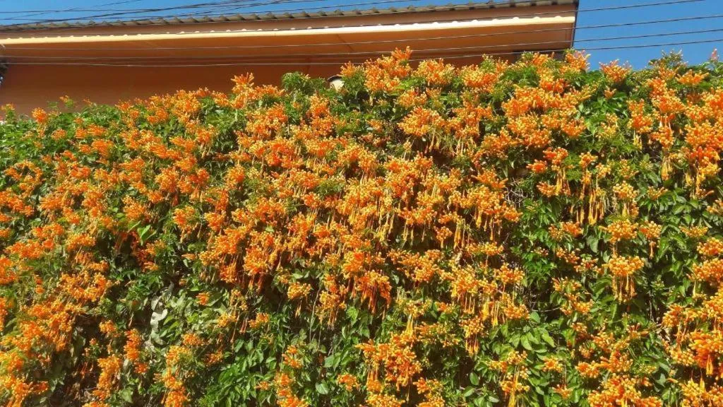 Jit Dee Home Khao Kho