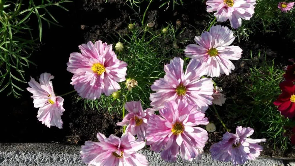 Jit Dee Home Khao Kho