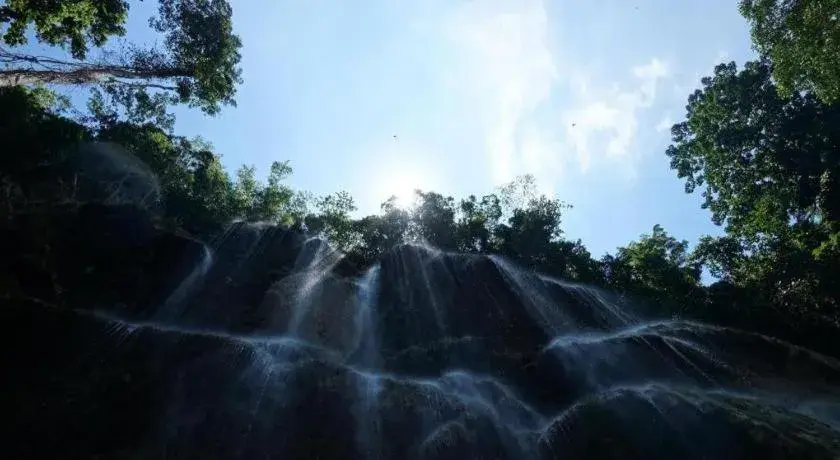 Joaquim's Lodge Joaquim's Lodge