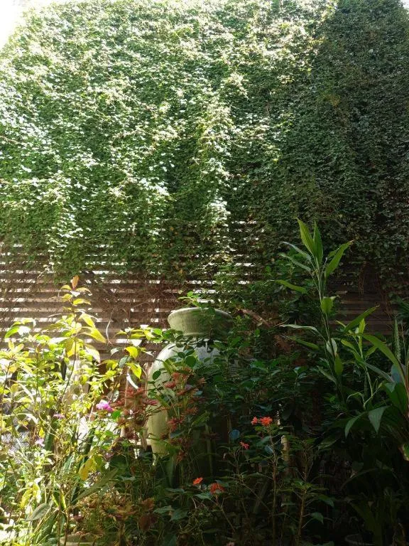 Rich Manor Pension House