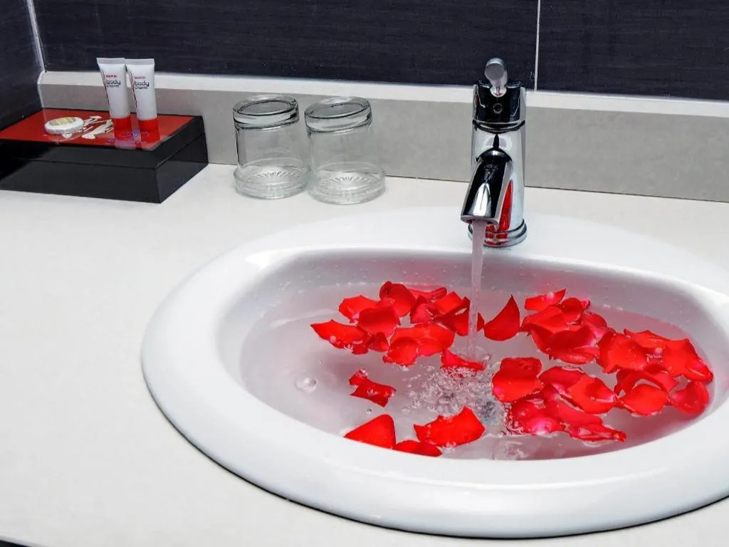 Begonia Nha Trang Hotel