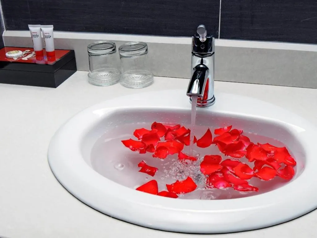 Begonia Nha Trang Hotel