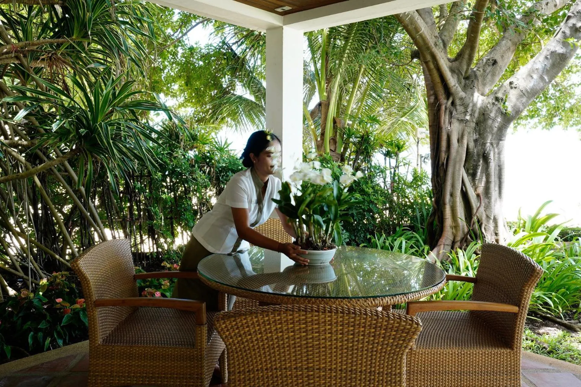 Garden in Miskawaan Beachfront Villas