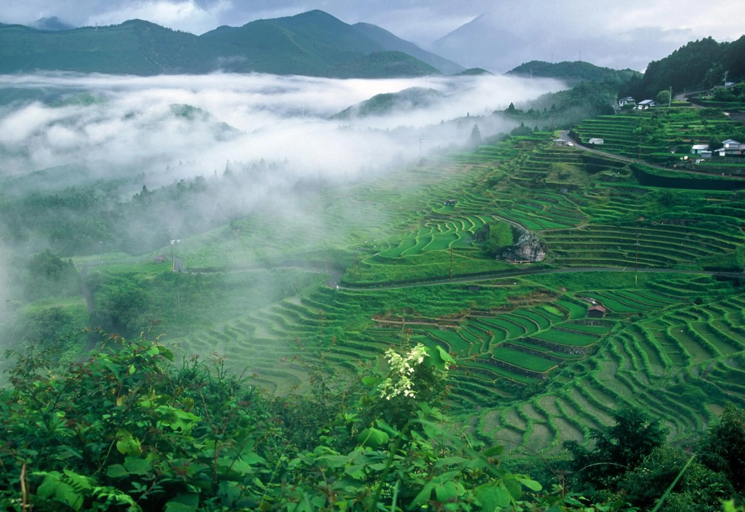 Nearby landmark in Iruka Onsen Hotel Seiryuusou