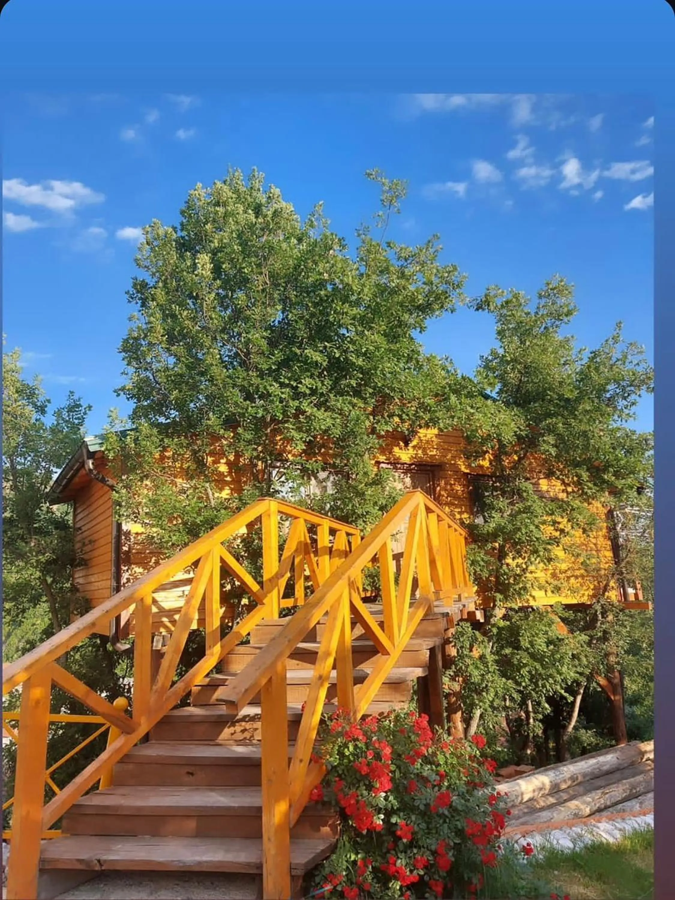 Tree House in Kurora e Gjelber Resort